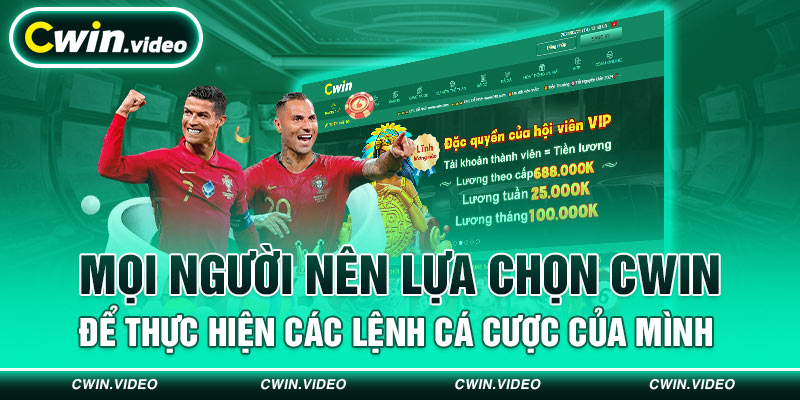 Mọi người nên lựa chọn CWIN  để thực hiện các lệnh cá cược của mình